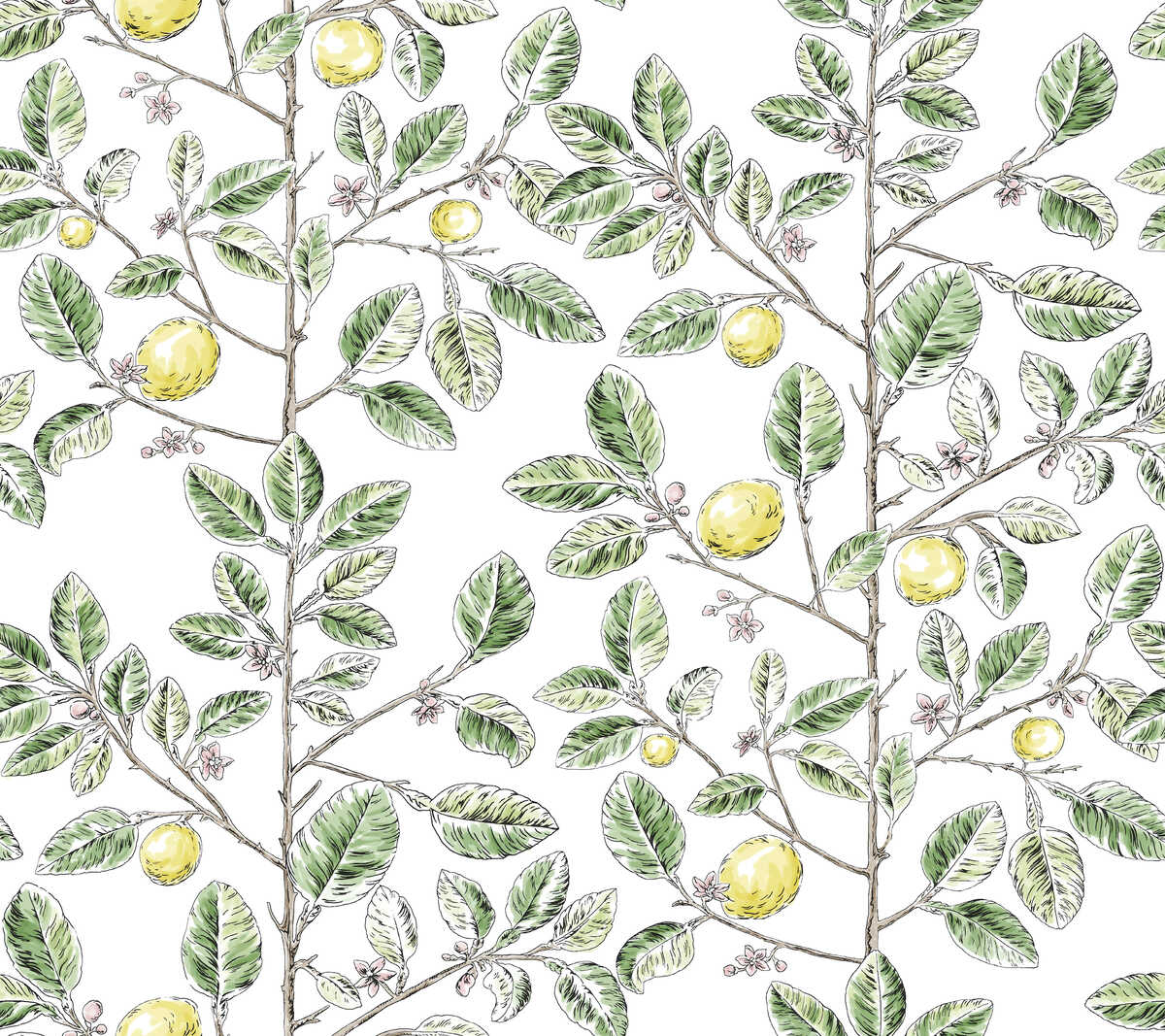 Kravet Design - W4241-340