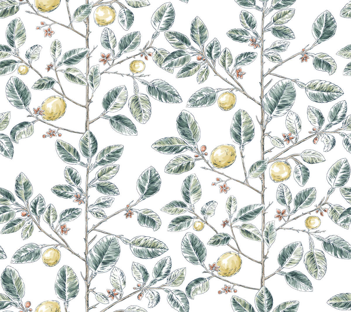 Kravet Design - W4241-354 - KRAVET DESIGN Wallpaper