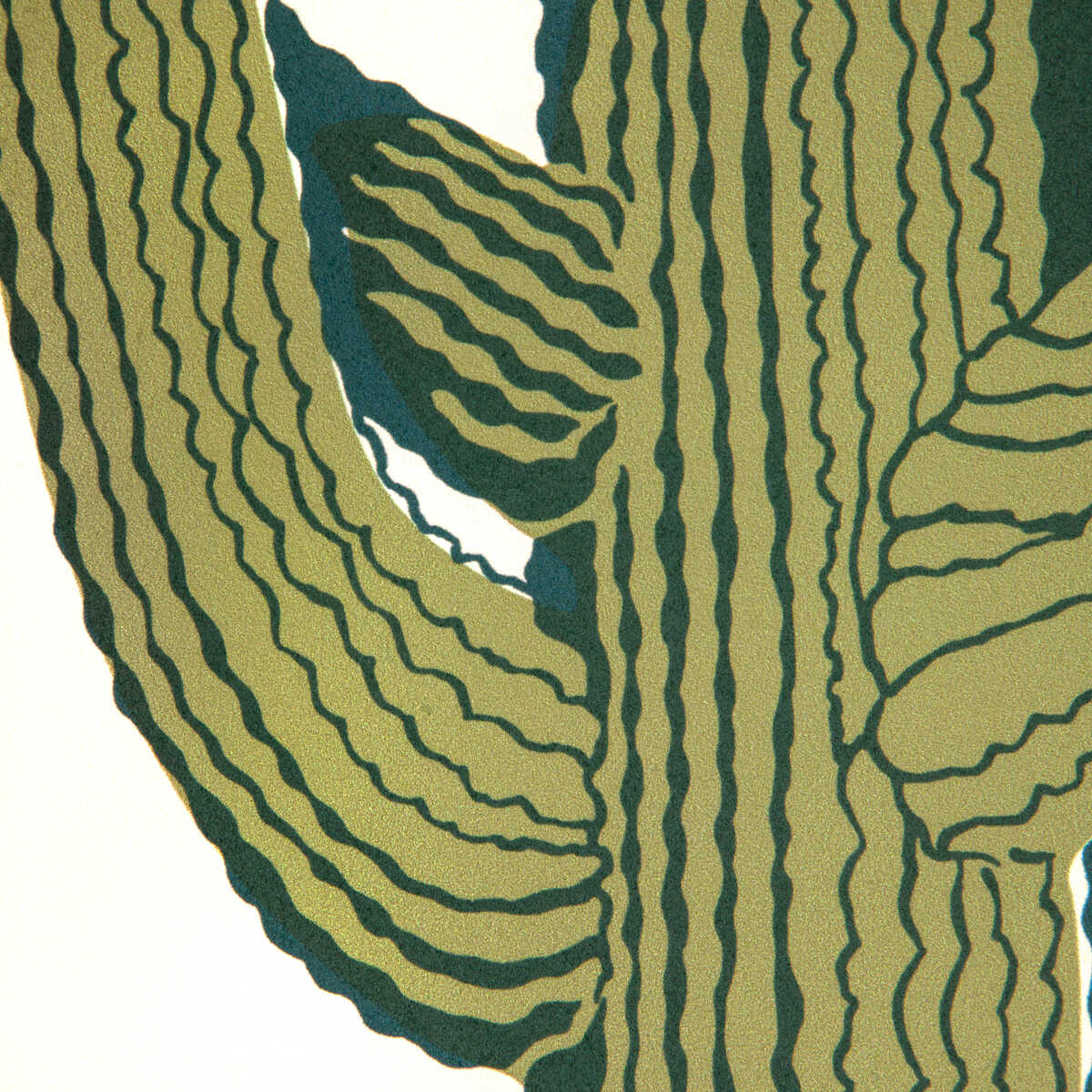 Cacti Land Wp - Agave - KRAVET COUTURE Papel pintado