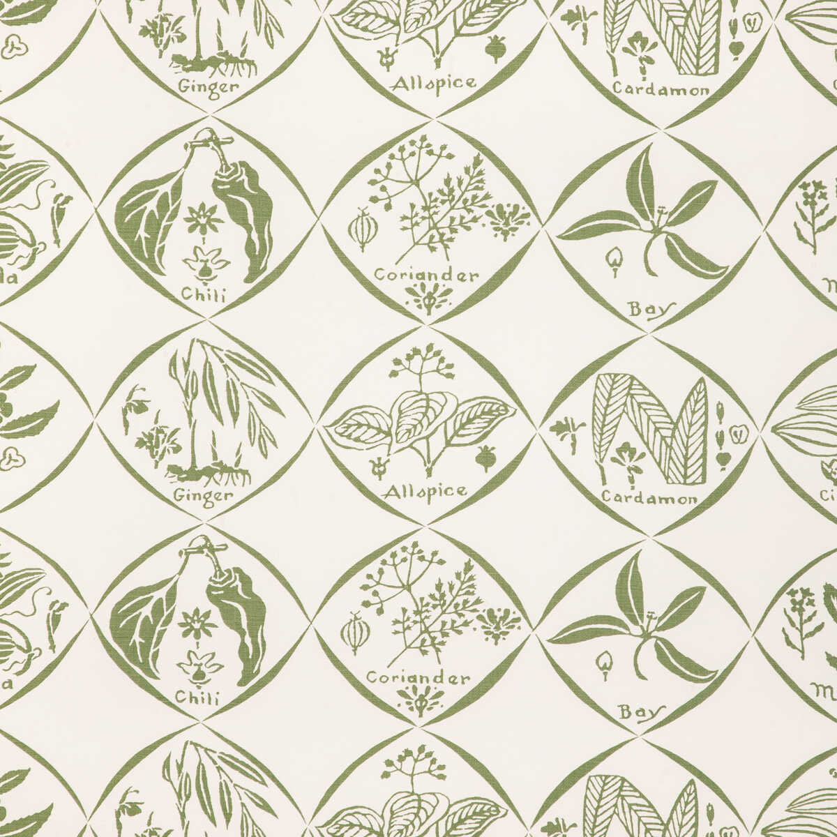 Spices Wp - Cactus - KRAVET COUTURE Papel pintado