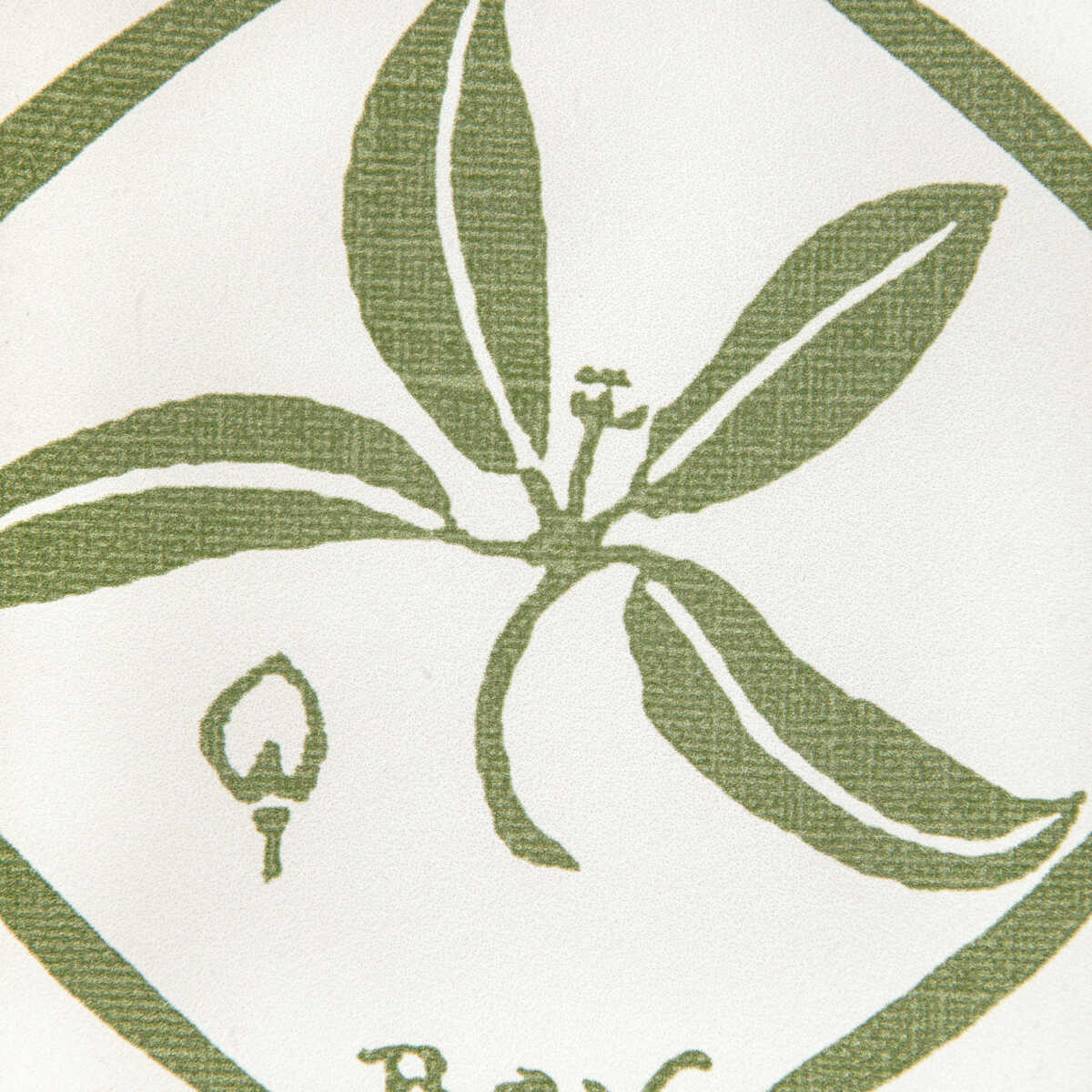 Spices Wp - Cactus - KRAVET COUTURE Papel pintado
