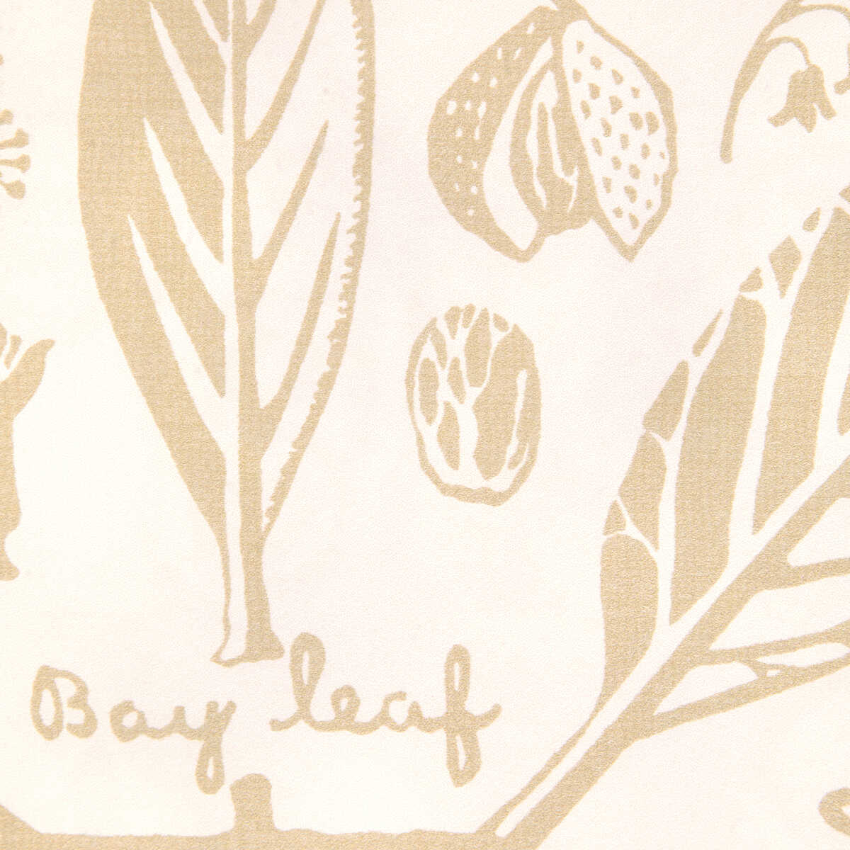 Sugar And Spice Wp - Sand - KRAVET COUTURE Papel pintado