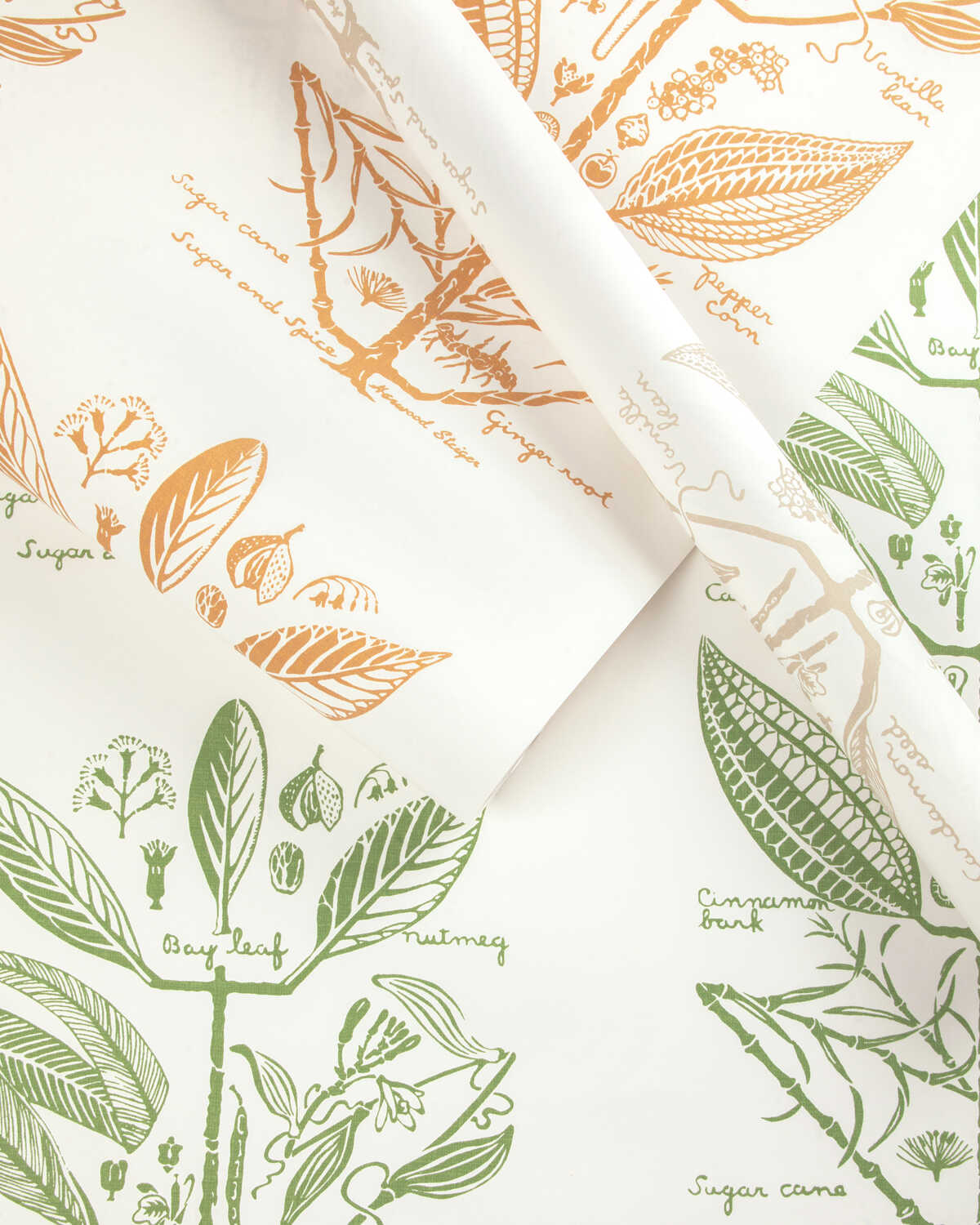Sugar And Spice Wp - Sand - KRAVET COUTURE Papel pintado