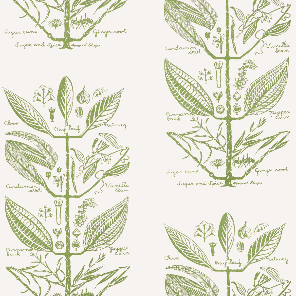 Sugar And Spice Wp - Cactus - KRAVET COUTURE Papel pintado