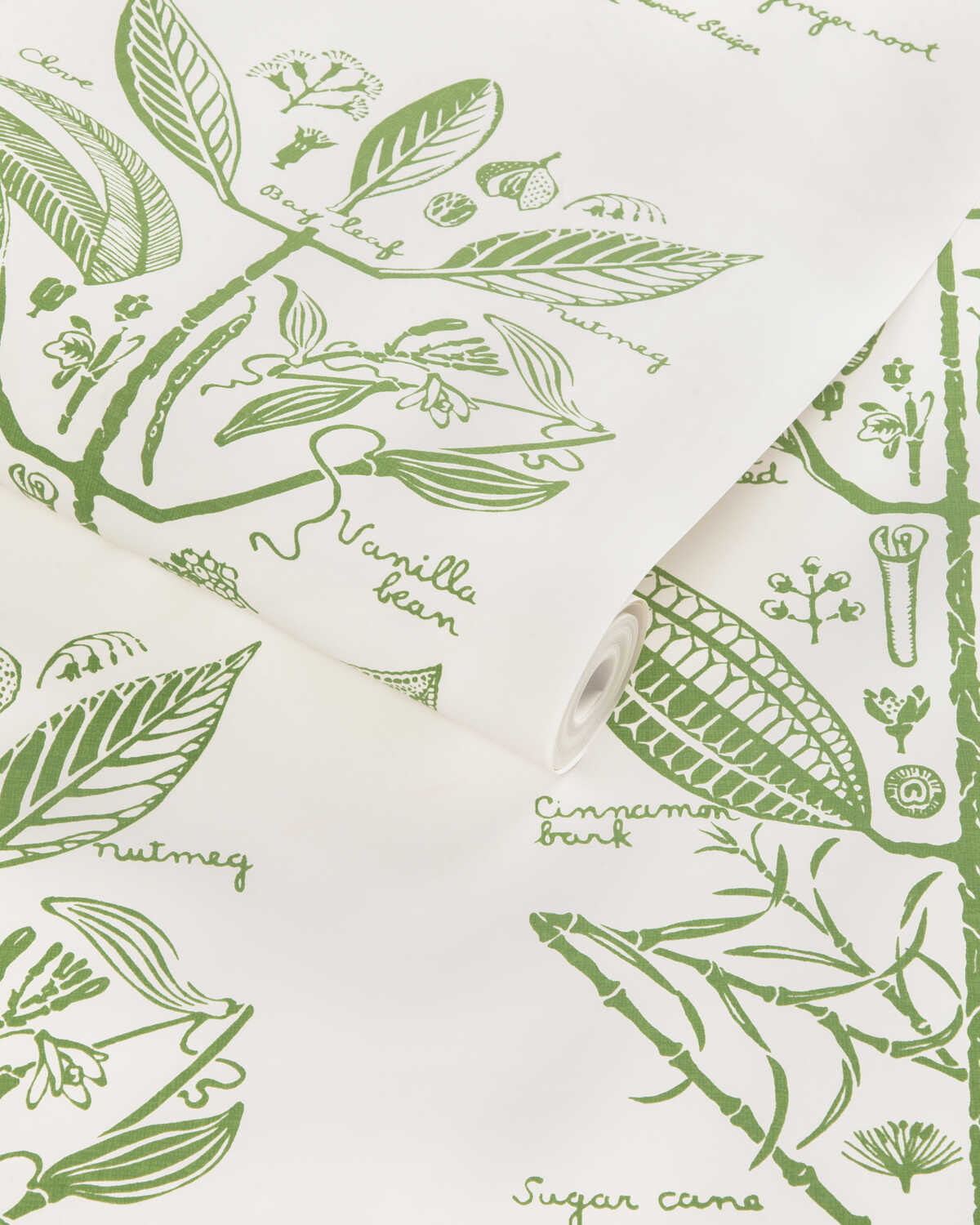 Sugar And Spice Wp - Cactus - KRAVET COUTURE Papel pintado