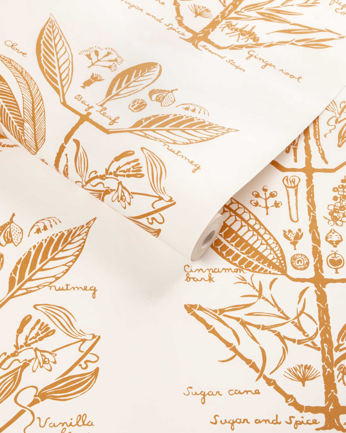 Sugar And Spice Wp - Gold - KRAVET COUTURE Papel pintado