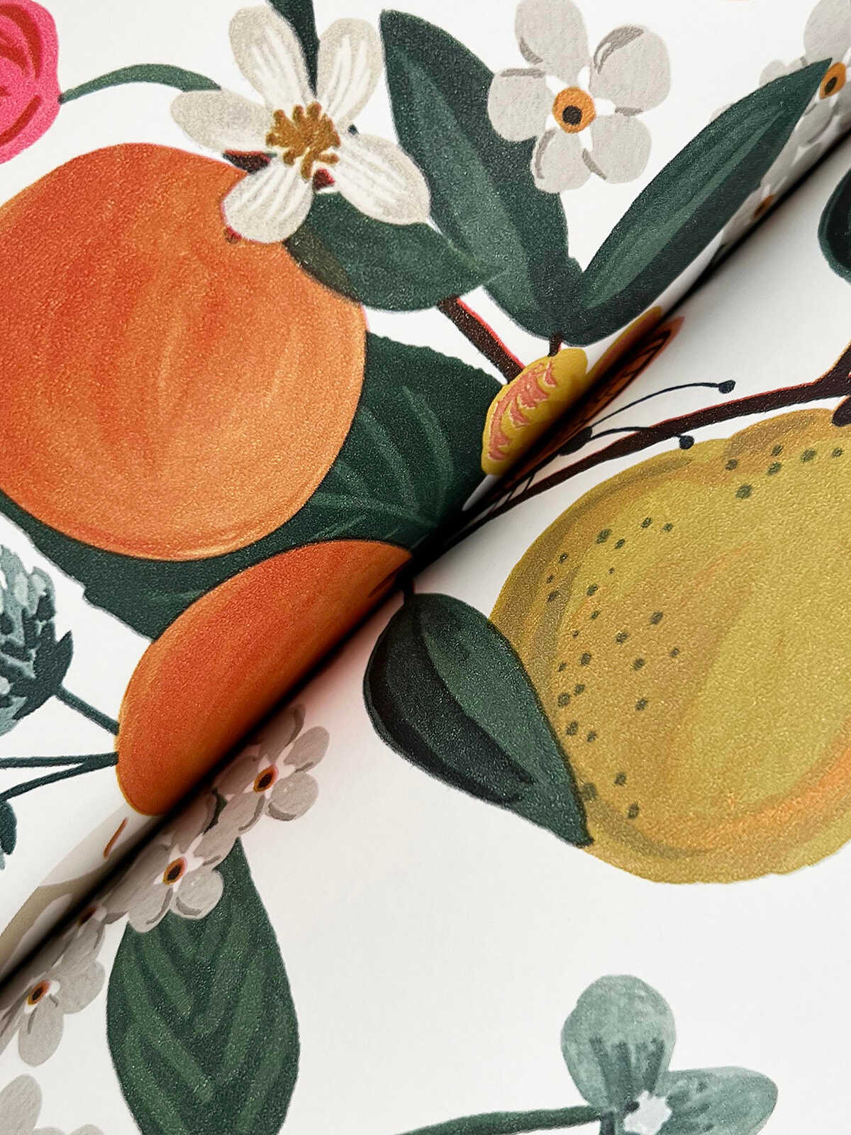 Kravet Design - W4288-911 - KRAVET DESIGN Wallpaper
