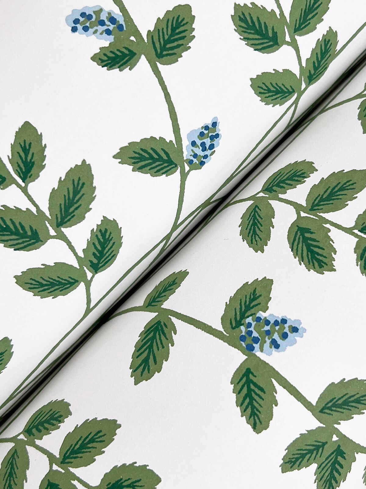 Kravet Design - W4290 - KRAVET DESIGN Wallpaper