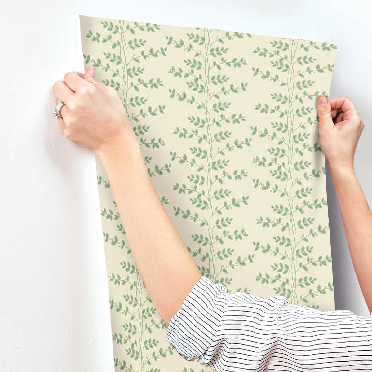 Kravet Design - W4290 - KRAVET DESIGN Wallpaper