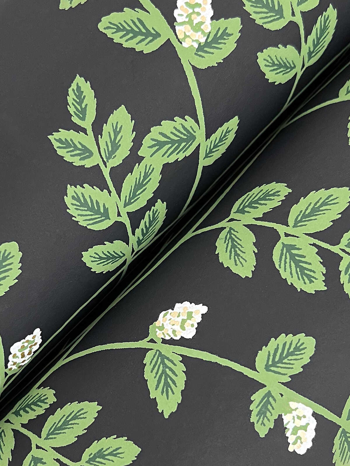 Kravet Design - W4290 - KRAVET DESIGN Wallpaper