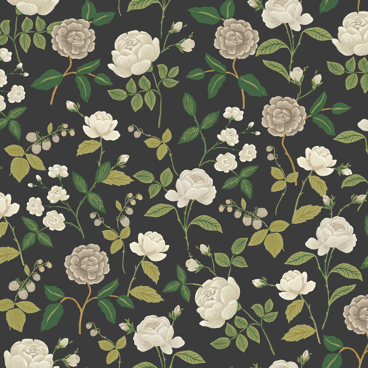 Kravet Design - W4299-811 - KRAVET DESIGN Papel pintado