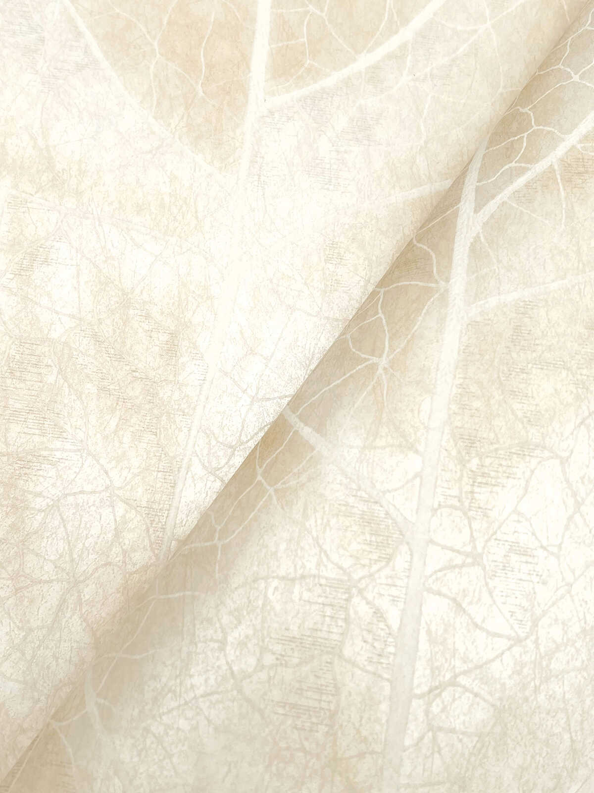 Kravet Design - W4308-1 - KRAVET DESIGN Papel pintado