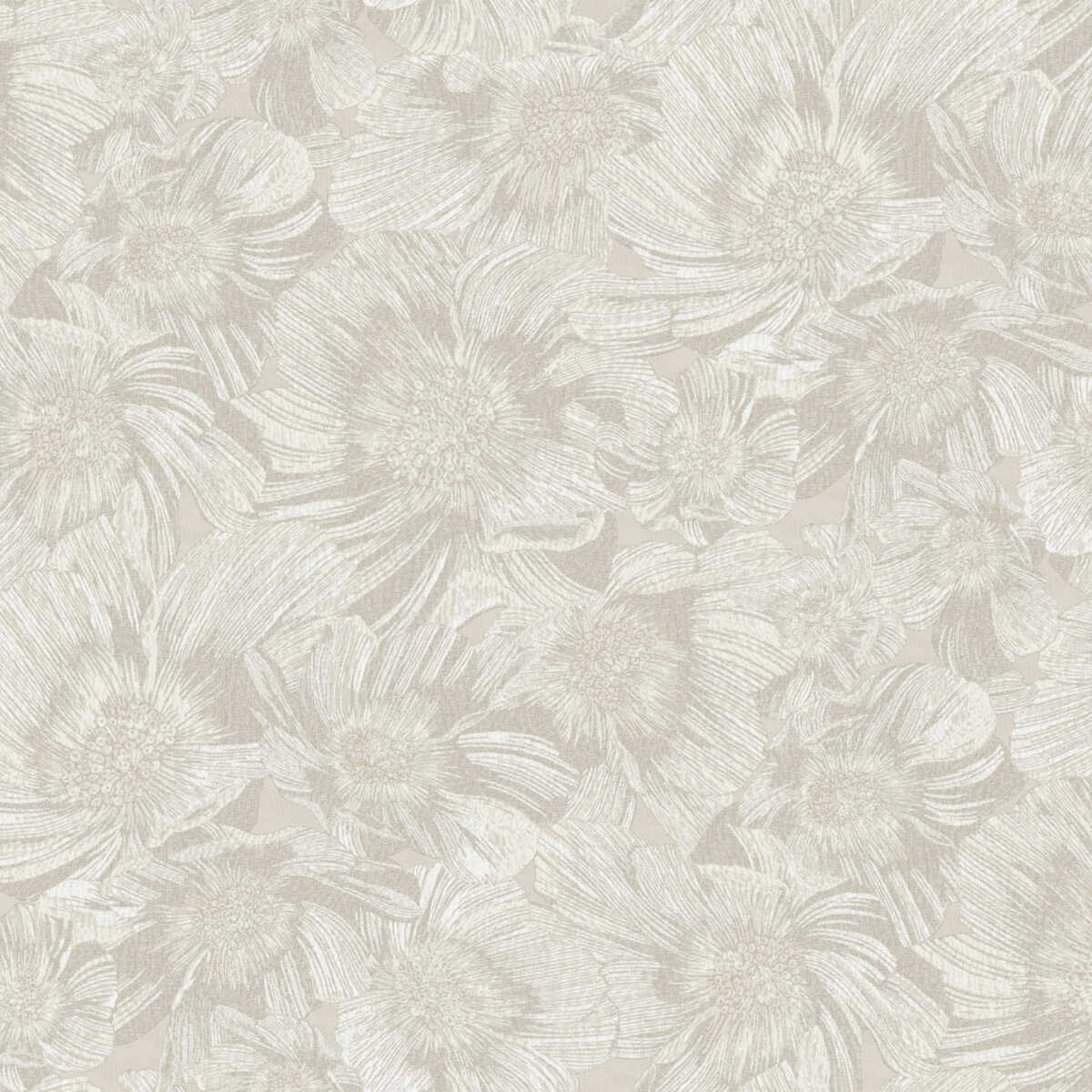 Anemoni Wp - 10502