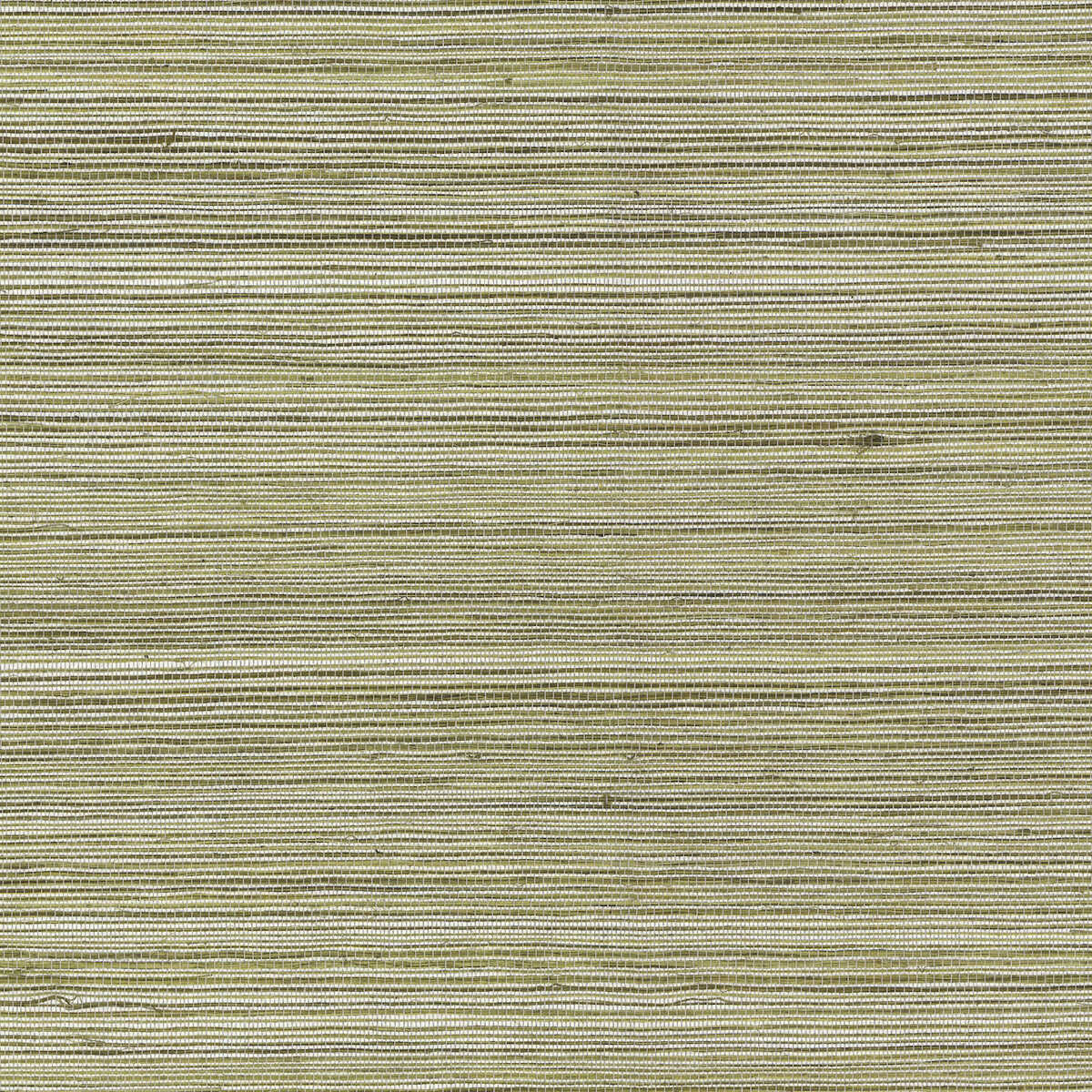 Raffia Wp - 4765 - KRAVET COUTURE Papel pintado