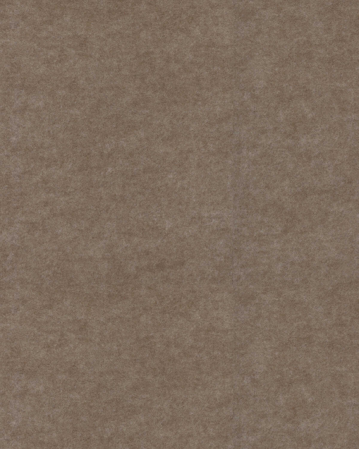 Repose - Taupe - WINFIELD THYBONY Wallpaper