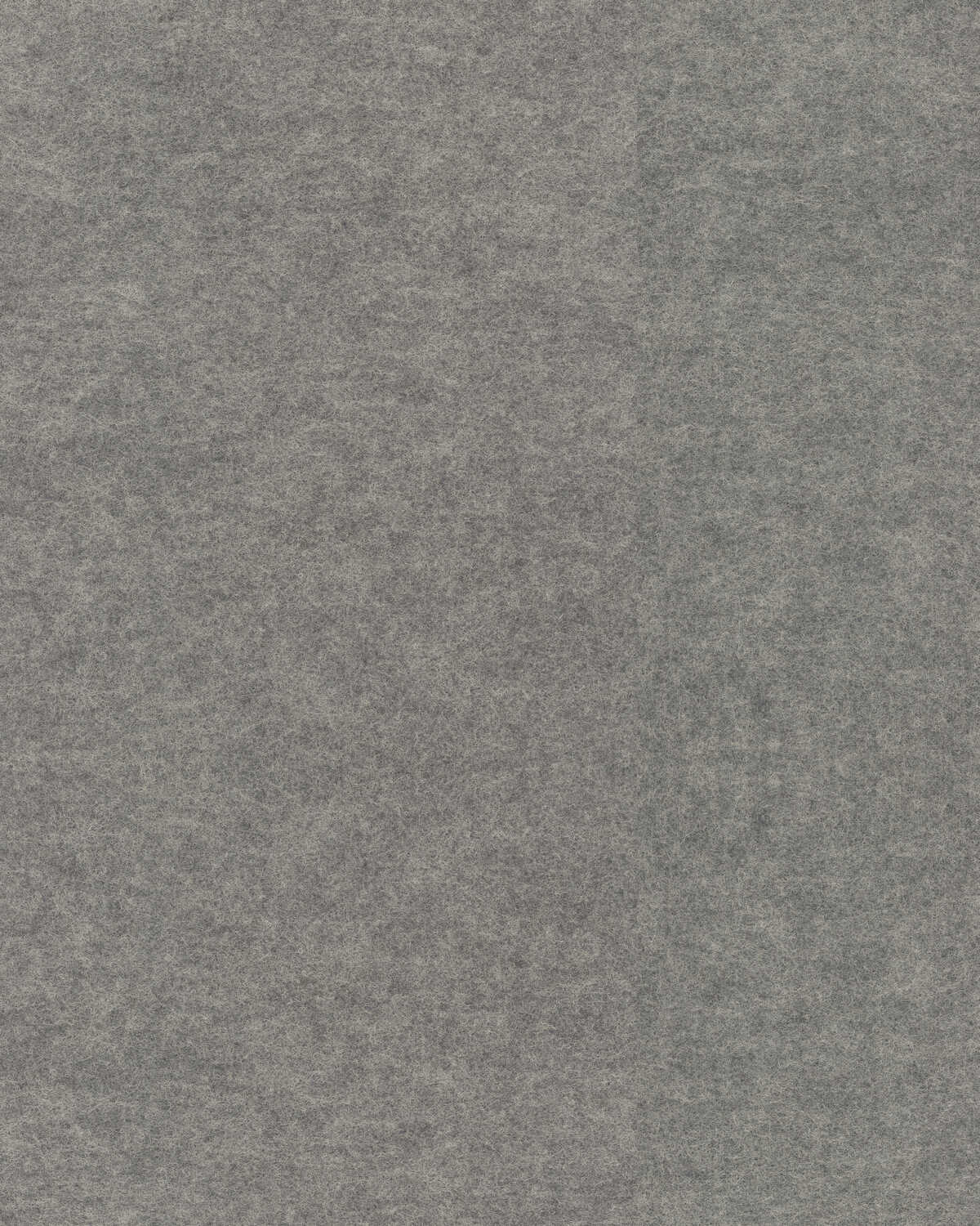 Repose - Concrete - WINFIELD THYBONY Wallpaper