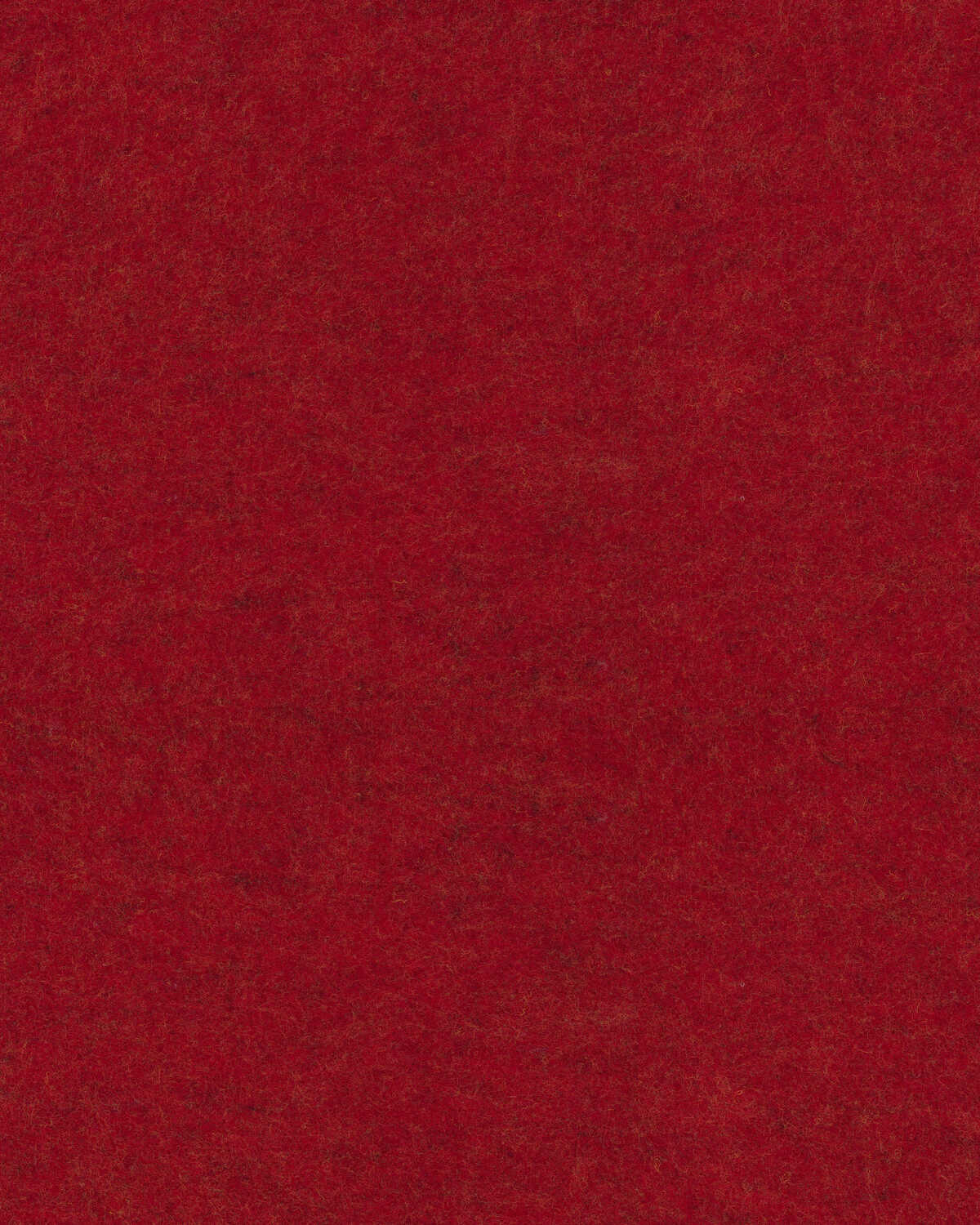 Repose - Ruby - WINFIELD THYBONY Wallpaper