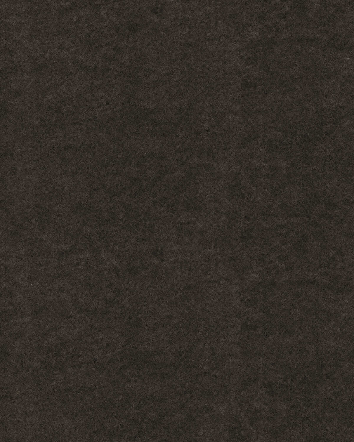 Repose - Sepia