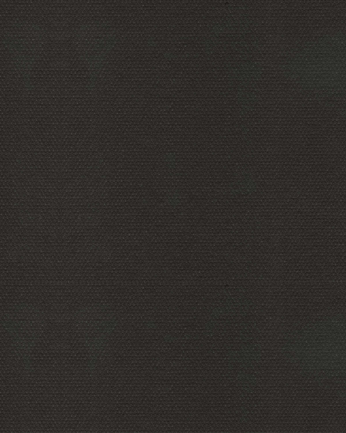 Silhouette - Black - WINFIELD THYBONY Wallpaper