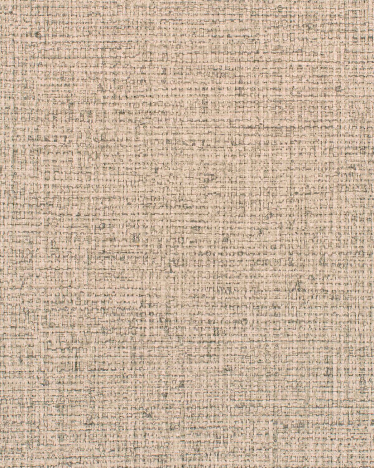 Sonoma - Dove - WINFIELD THYBONY Wallpaper