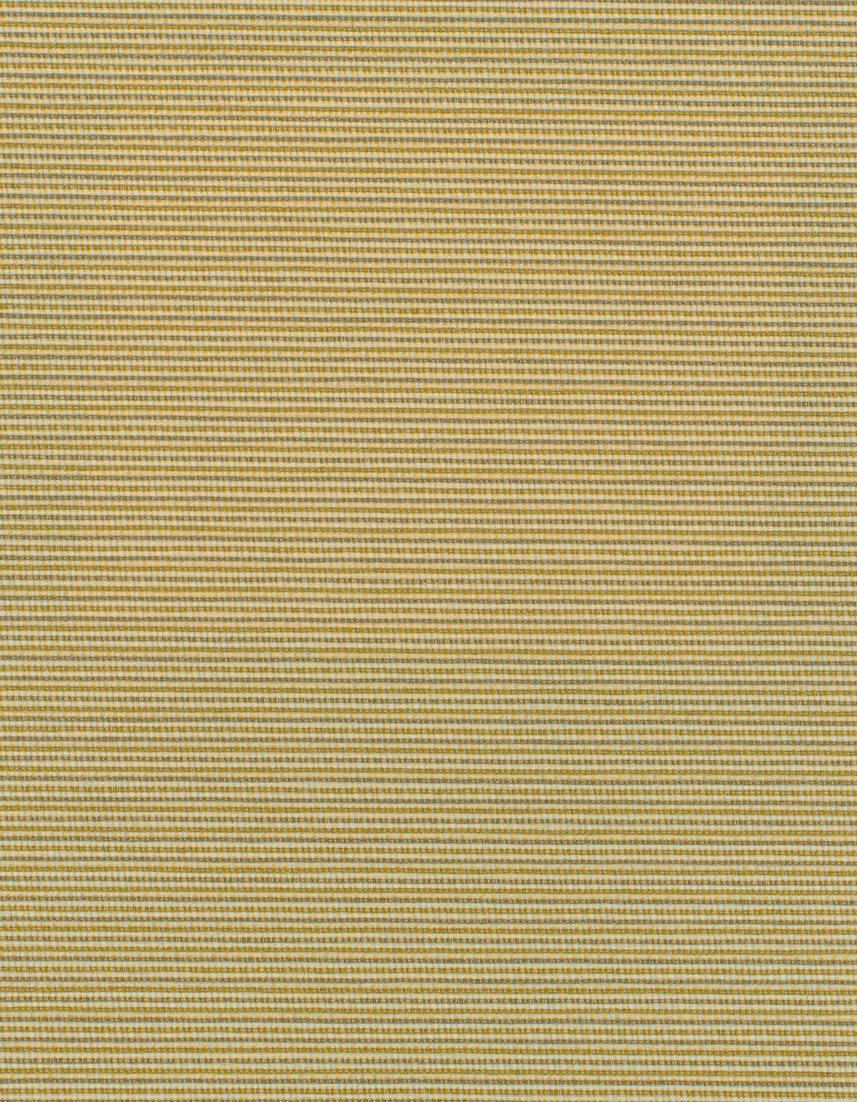 Elza - Spun Silk - WINFIELD THYBONY Wallpaper