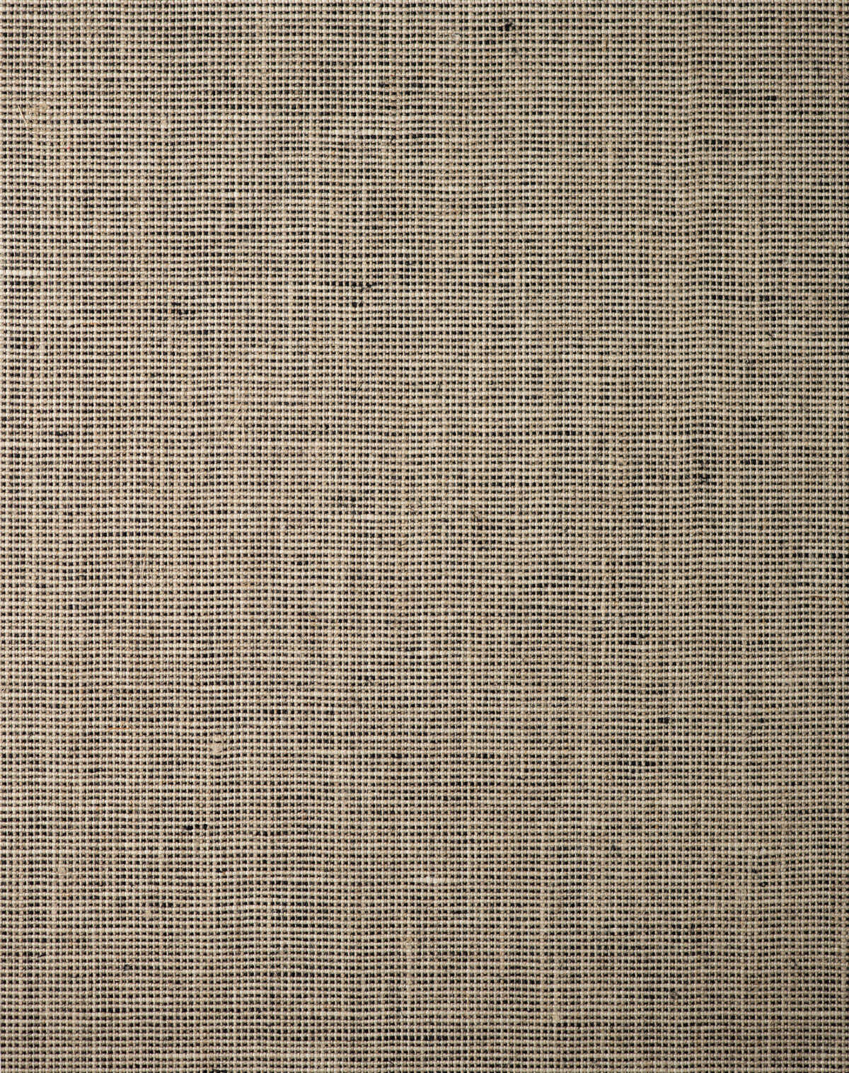 Canova - Tweed - WINFIELD THYBONY Wallpaper