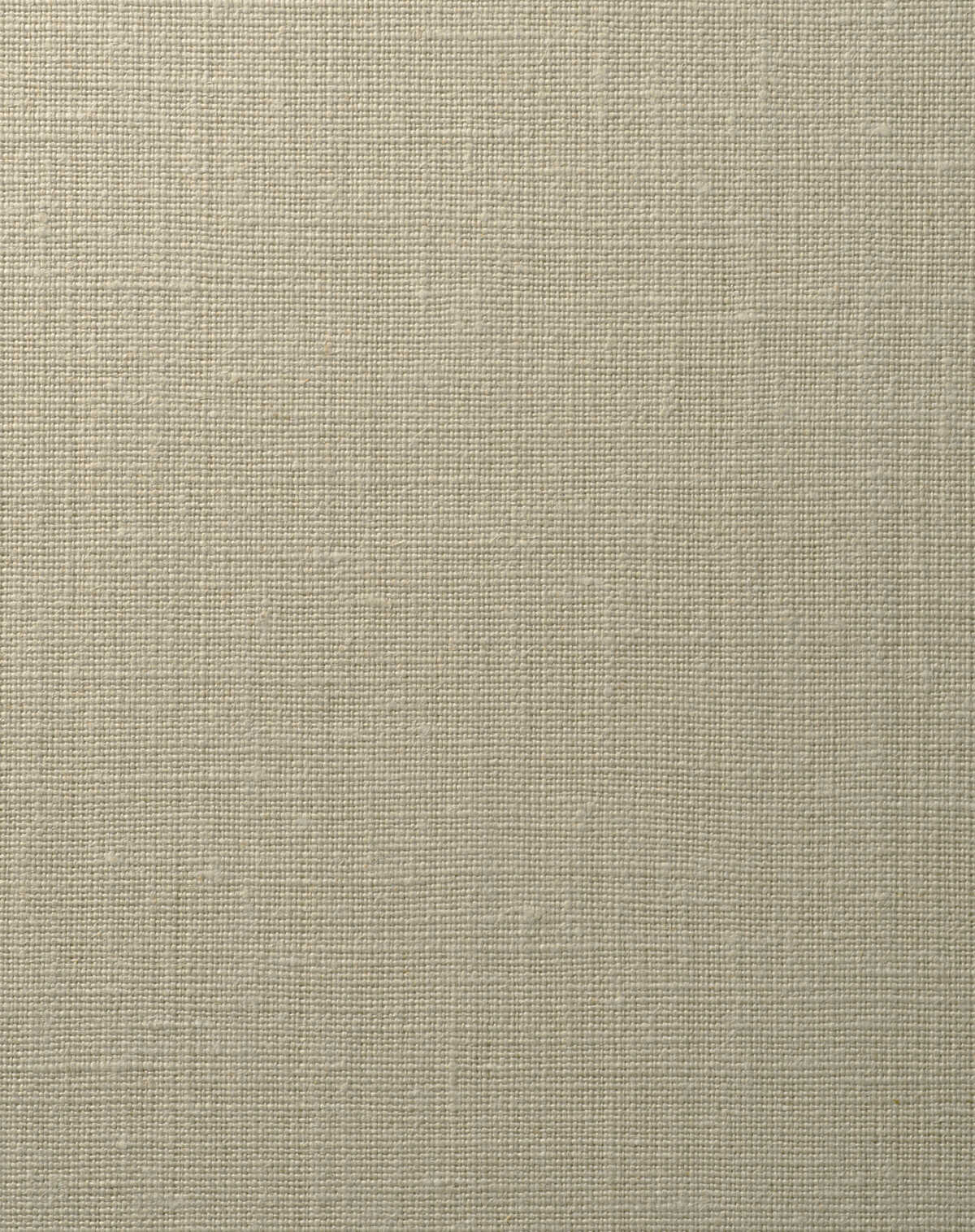 Hardwick - Burro - WINFIELD THYBONY Wallpaper