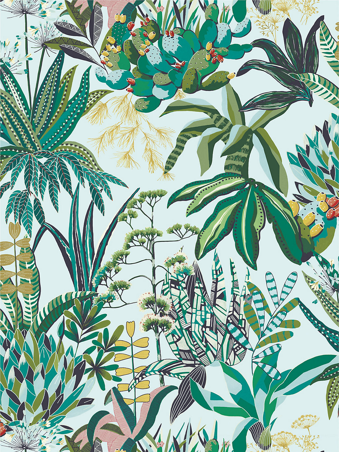 Figari - Agave