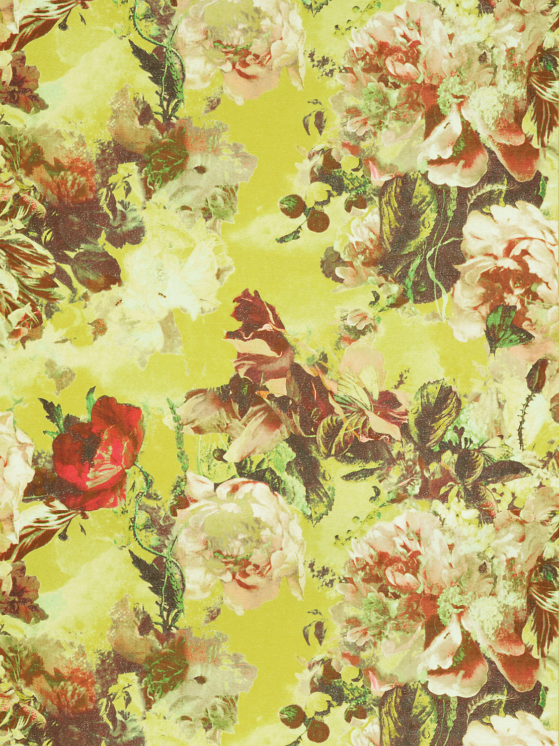 Flamboyant - Pollen