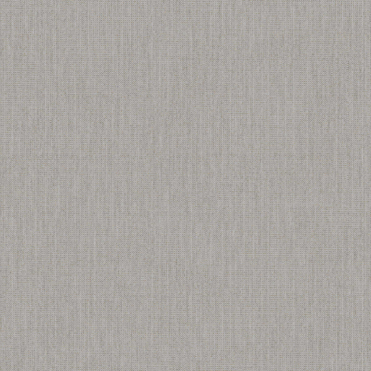 Conway - White Wash - WINFIELD THYBONY Wallpaper