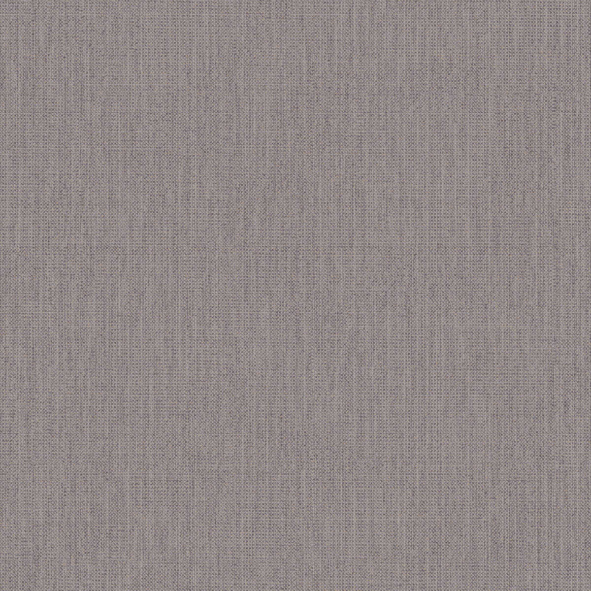 Conway - Haze - WINFIELD THYBONY Wallpaper