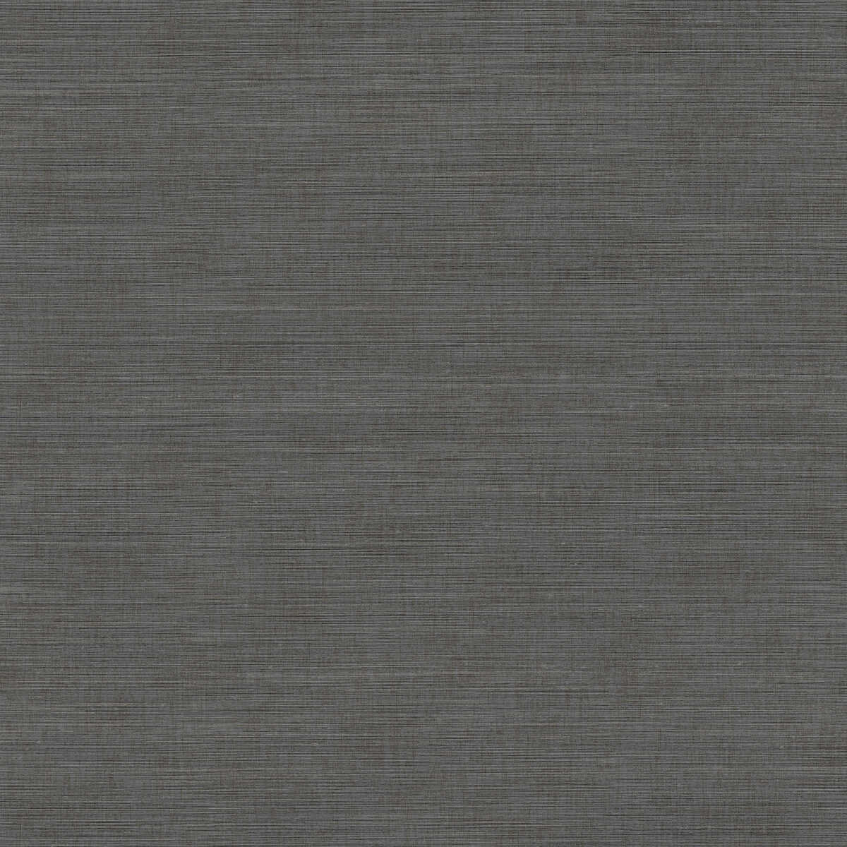 Vivace Thread - Graphite - WINFIELD THYBONY Wallpaper