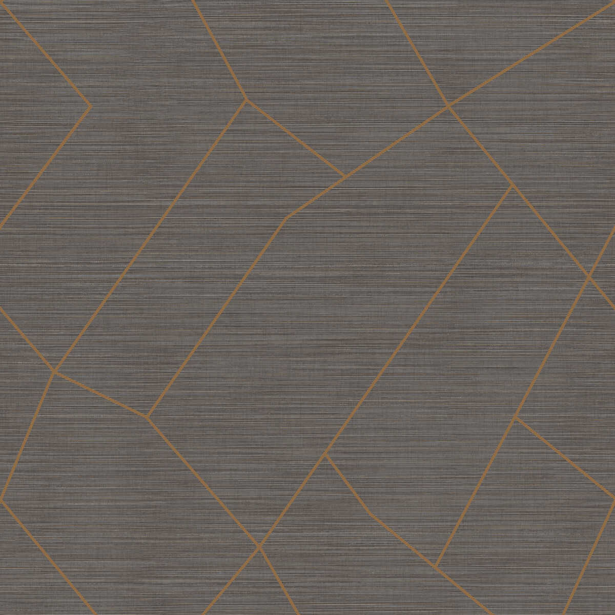 Vivace Grand - Graphite - WINFIELD THYBONY Wallpaper