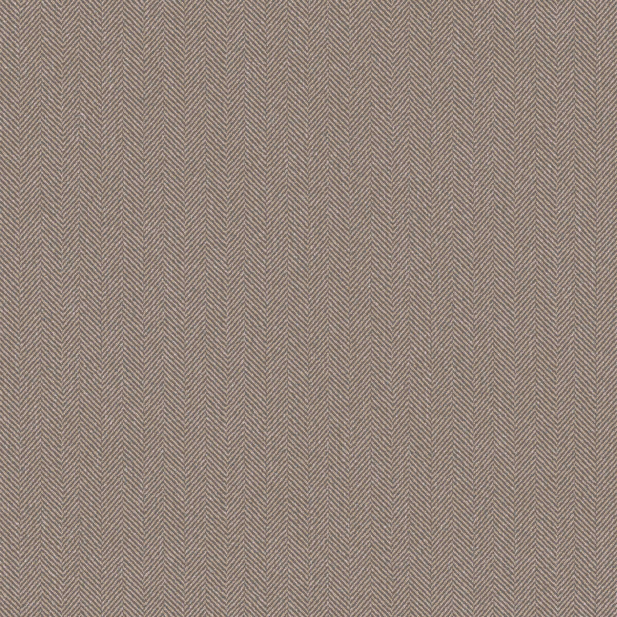 Chevron - Clay - WINFIELD THYBONY Papel pintado