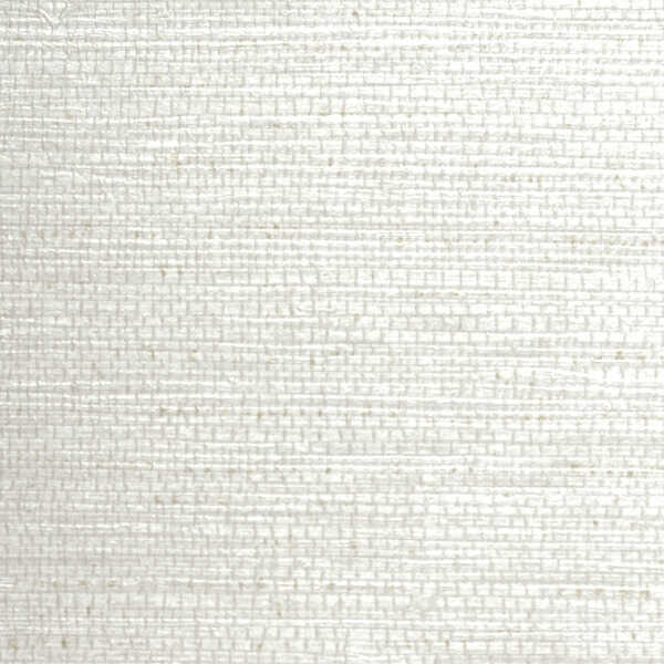 Drake - Oysterp - WINFIELD THYBONY Wallpaper