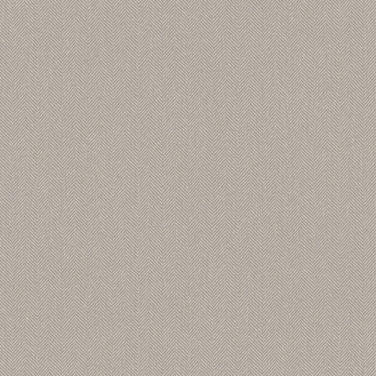 Chevron - Greige - WINFIELD THYBONY Wallpaper