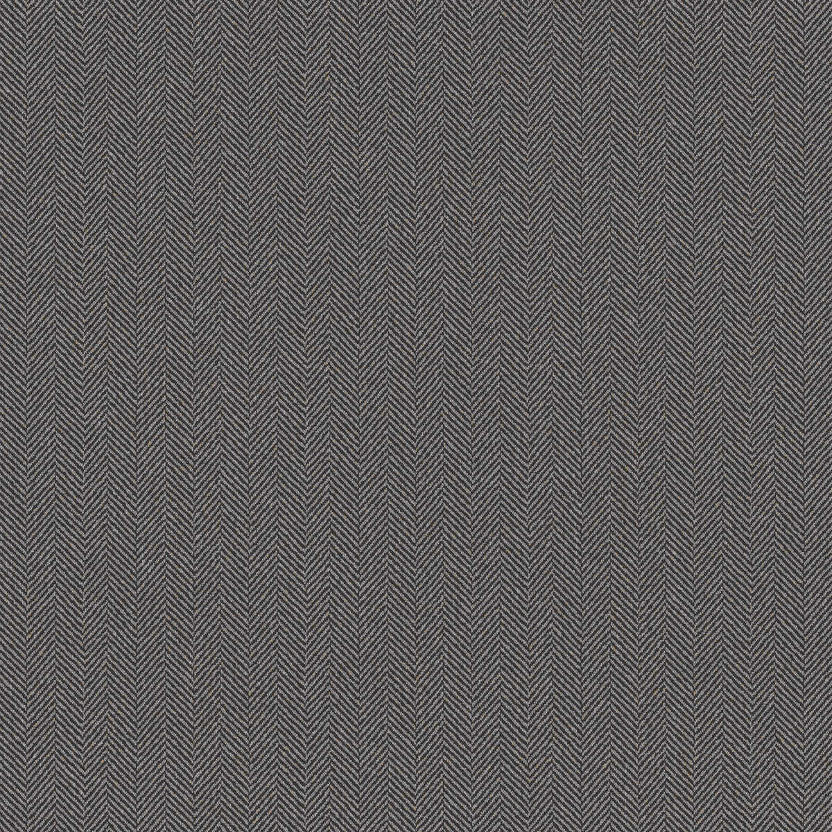 Chevron - Basalt - WINFIELD THYBONY Wallpaper