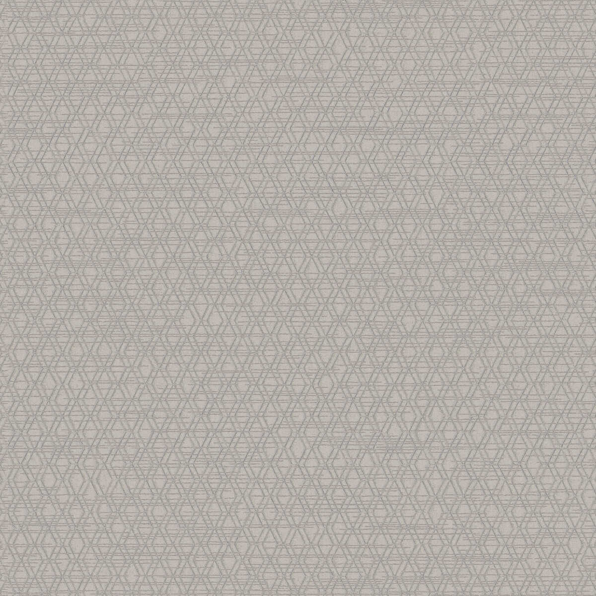 Archetype - Bark - WINFIELD THYBONY Papel pintado