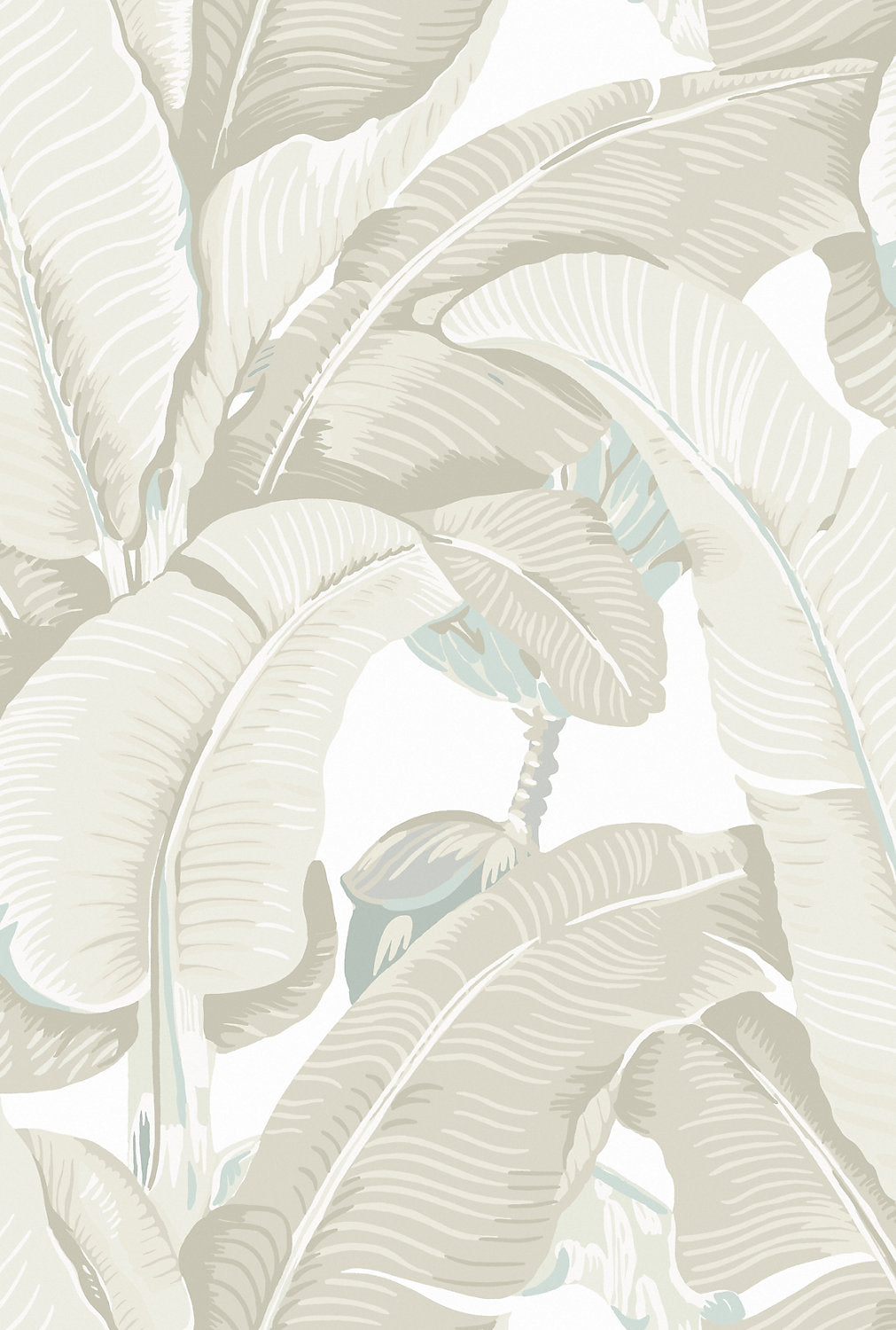 HINSON PALM PARCHMENT WHN 44000MD 0005 Scalamandre Wallcovering