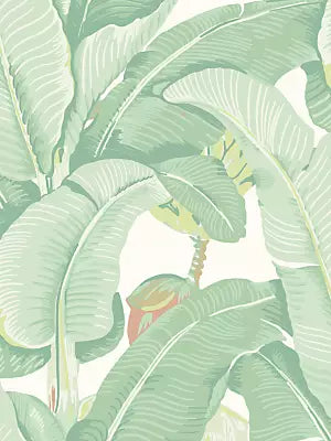 Hinson Palm - Soft Sage