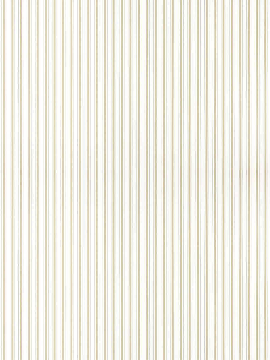 Johnson Stripe wallpaper in Dune by Hinson - Hinson Wallpaper