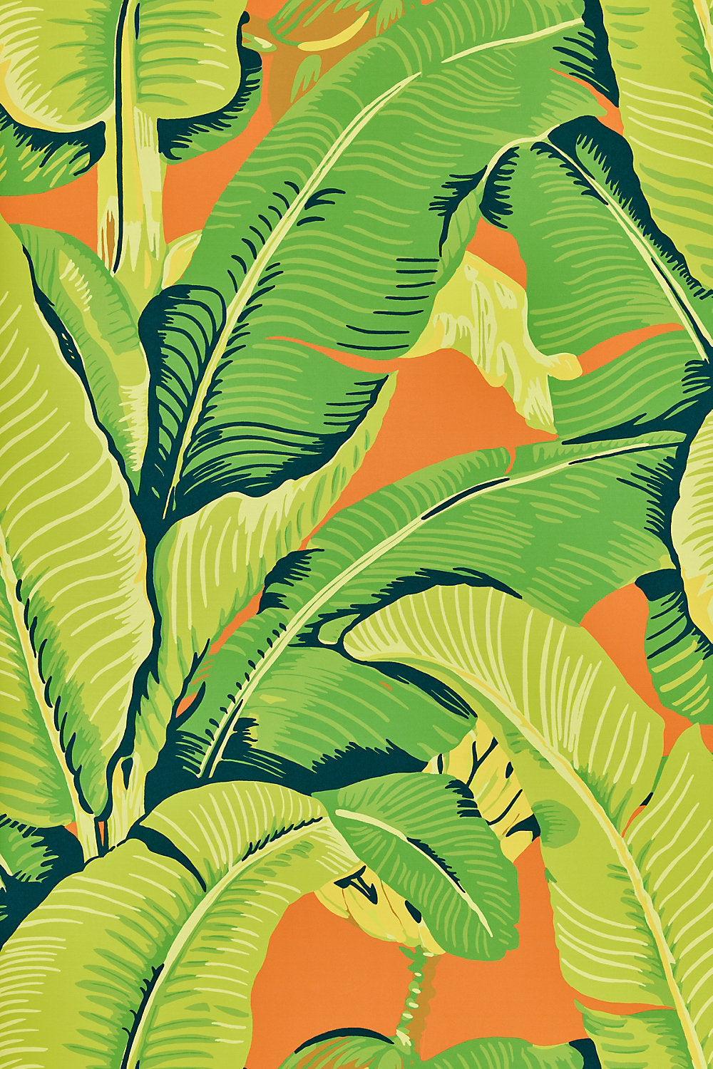 Hinson Palm - Aperol Spritz - Scalamandre Wallpaper