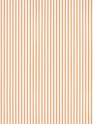 Johnson Stripe - Tangerine
