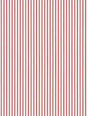 Johnson Stripe - Peppermint
