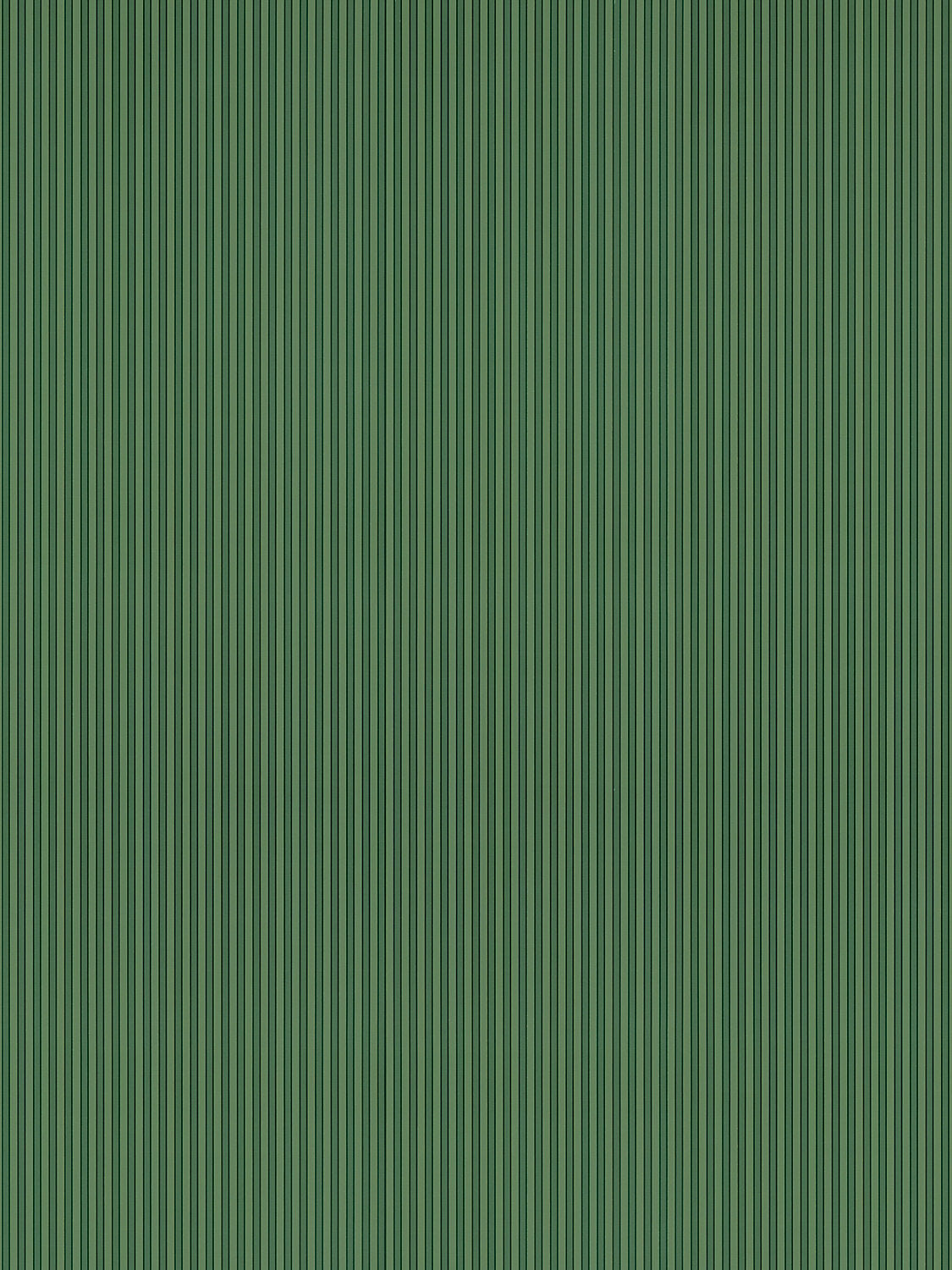 Wilson Stripe - Fern - Scalamandre Wallpaper