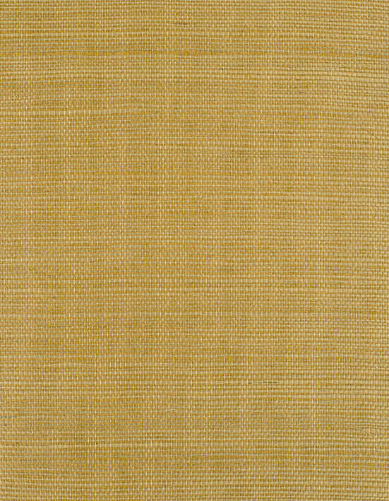 Bermuda - Sand
