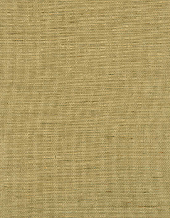 Bermuda - Sprig