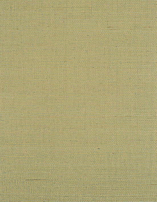 Bermuda - Mint