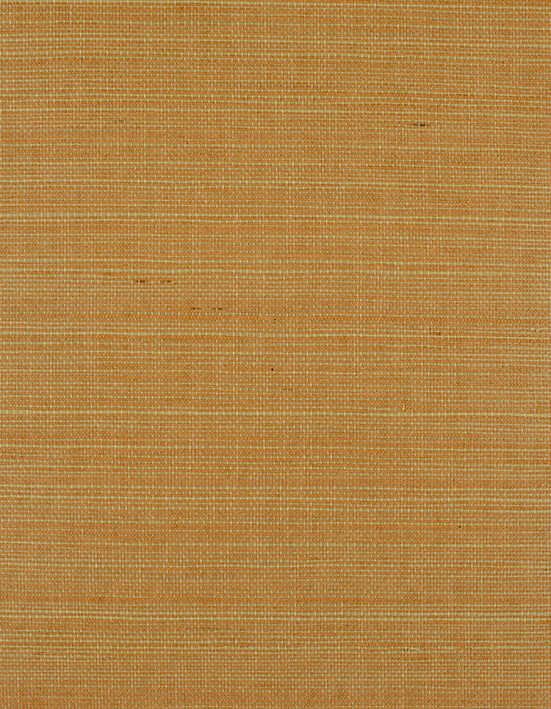 Bermuda - Blush - WINFIELD THYBONY Wallpaper