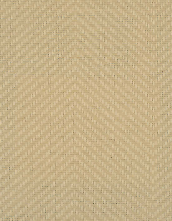 Hamilton - Shell - WINFIELD THYBONY Wallpaper